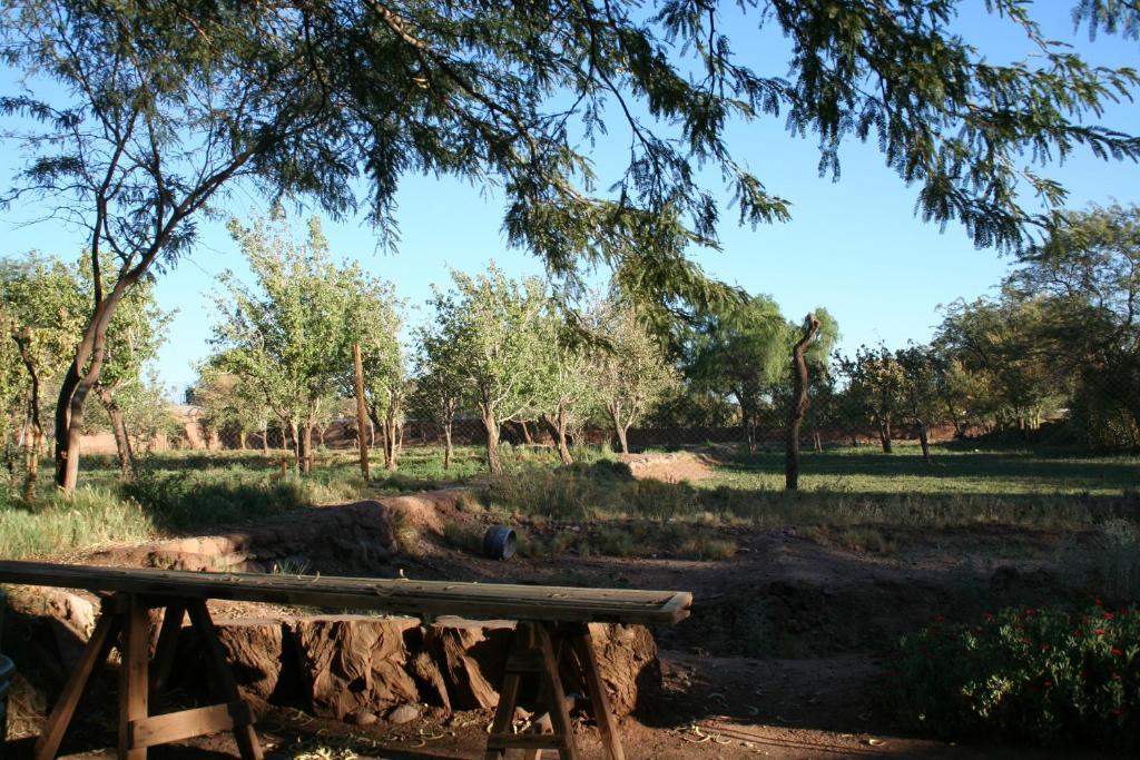 Quinta Adela Bed & Breakfast San Pedro de Atacama Eksteriør bilde