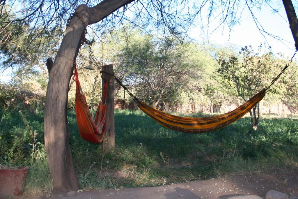 Quinta Adela Bed & Breakfast San Pedro de Atacama Eksteriør bilde