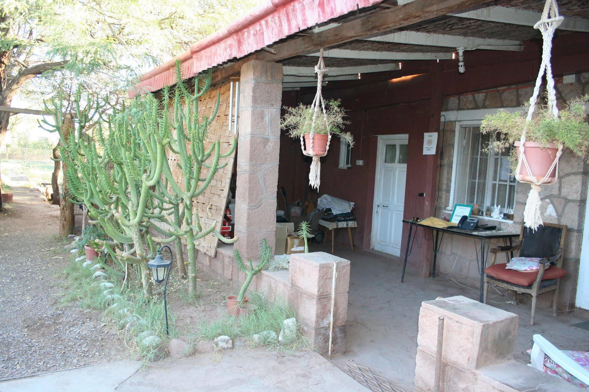 Quinta Adela Bed & Breakfast San Pedro de Atacama Eksteriør bilde